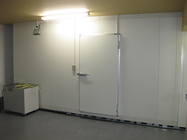 ���Д[���d�C�t���C���[ ���^�C�v�i���Áj