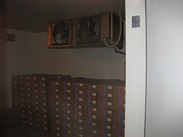 5�؁@�Ⓚ�ۊǌɁ@�����̗l�q