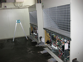 ��p��ƌɓ�������t